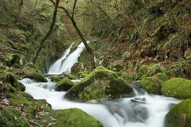 O Curruncho Dos Lopez Landsted